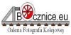 Logo_Bocznice.jpg
